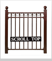 Scroll Top